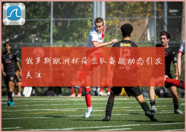俄罗斯欧洲杯荷兰队备战动态引发关注