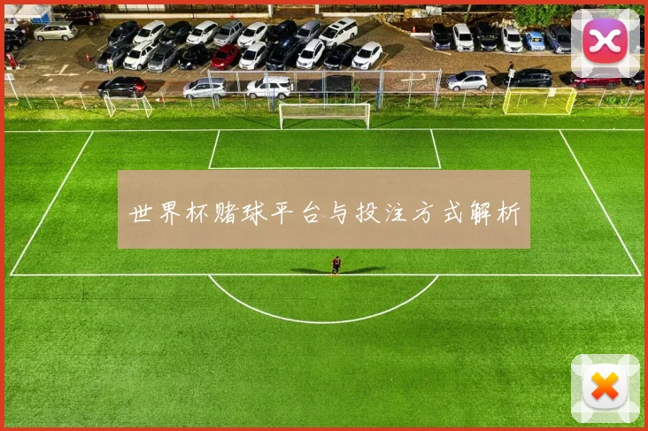世界杯赌球平台与投注方式解析