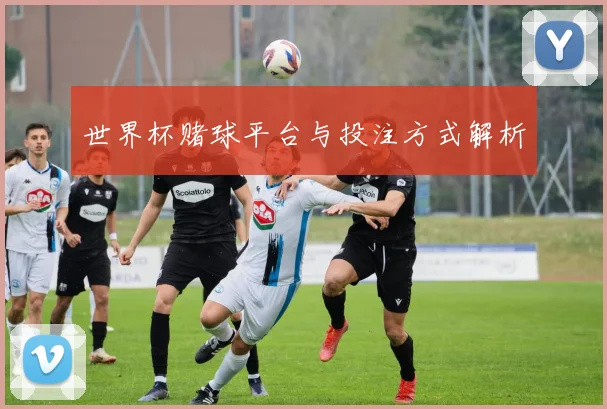 世界杯赌球平台与投注方式解析
